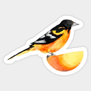 Oriole and Orange Sticker